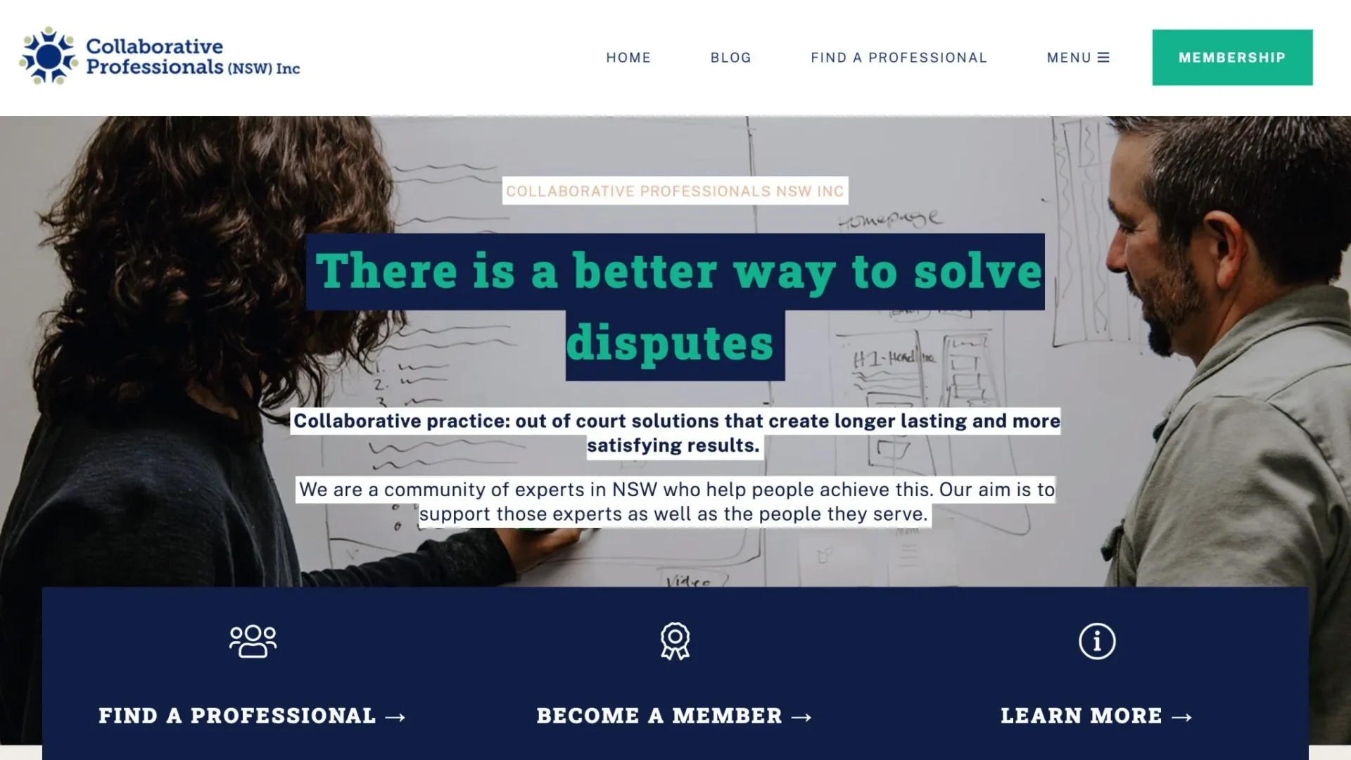 Collaborative Professionals NSW Inc